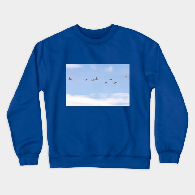 Flying Trumpeter Swans in Formation Crewneck Sweatshirt by SafariByMarisa